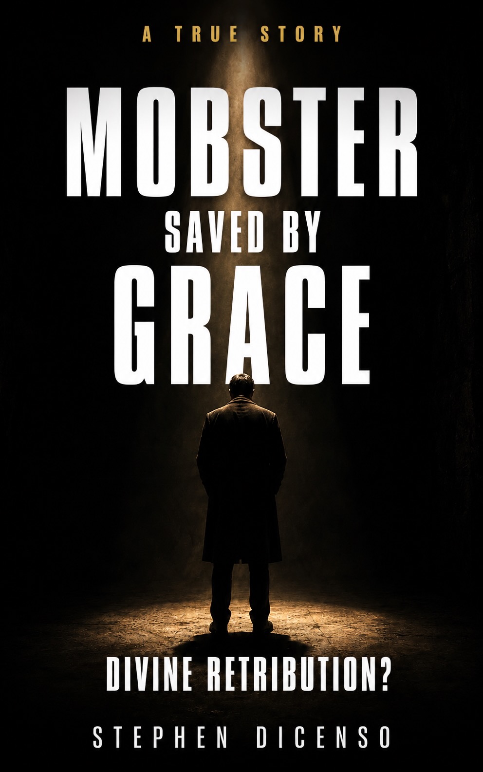 Divine Retribution? book cover